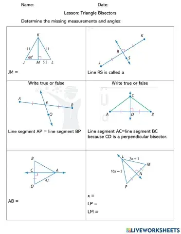 Triangle bisector