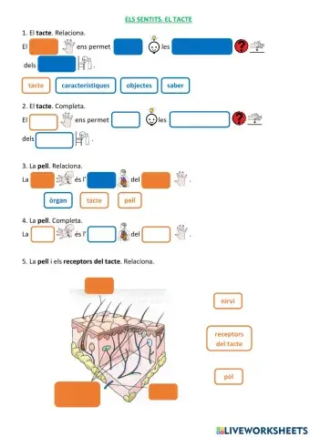 Els sentits. El tacte