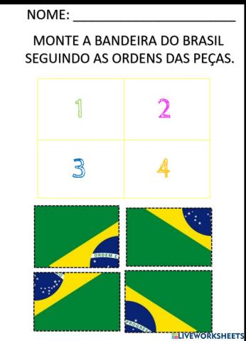 Bandeira do brasil