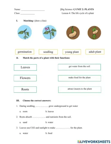 Big Science 4 Plants