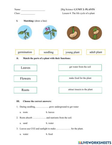Big Science 4 Plants