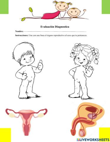 Las partes de su cuerpo