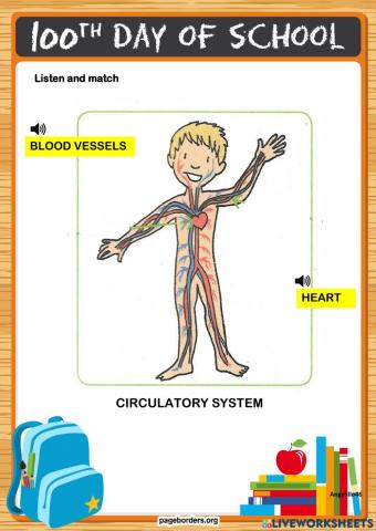 Circulatory system