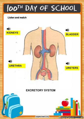 Excretor system