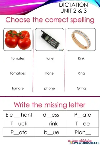 We can 3 unit 2 qnd 3 Spelling and phonics