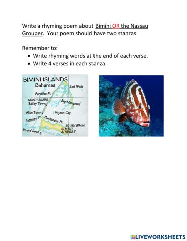 Rhyming Poem - Bimini or Nassau Grouper