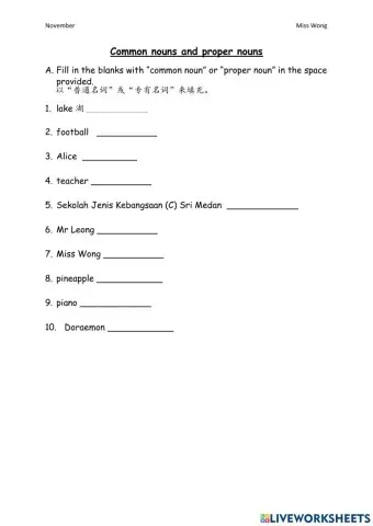 Common and proper nouns exercises