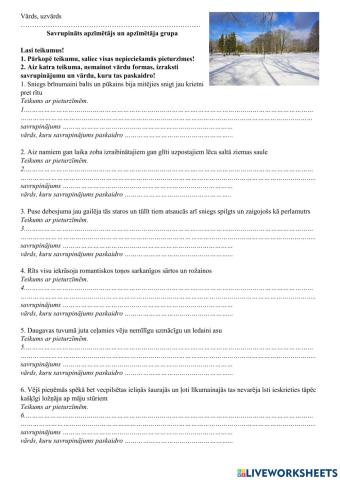 Apzīmētāja savrupinājums