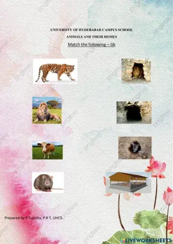 Animals and their homes