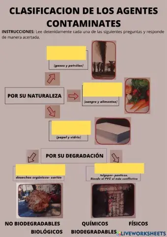 Clasificacion de los agentes contaminates