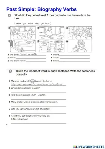 Past Simple: Biography verbs
