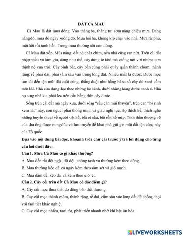 Tiếng việt kiểm tra giữa kì1