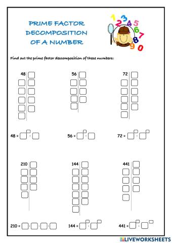 Prime Factor Decomposition