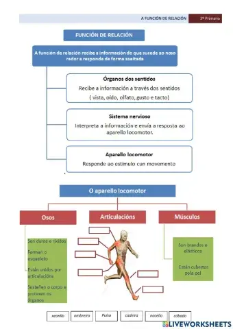 A función de relación