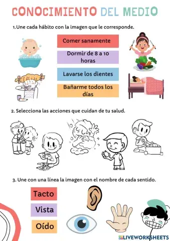 Evaluación Conocimiento del medio Primer trimestre