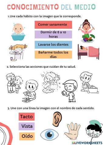 Evaluación Conocimiento del medio Primer trimestre