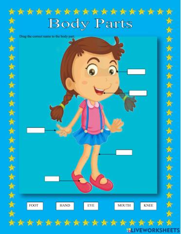 Body Parts