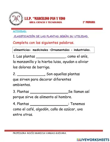 Actividad de clasificación de la planta según su utilidad