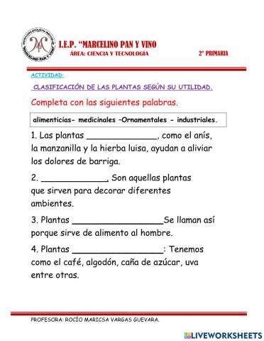 Actividad de clasificación de la planta según su utilidad