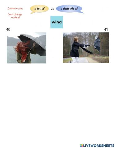 Quantity Expressions Independent Practice 2