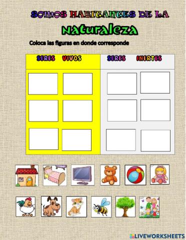 Seres vivos y seres inertes