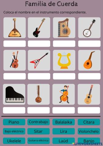 Instrumentos de Cuerda