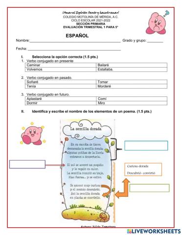 Examen Trimestral de español