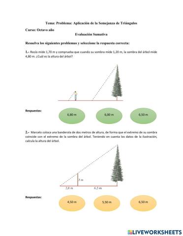 Aplicación semejanza de triángulos