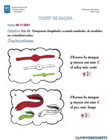 Ticket de salida