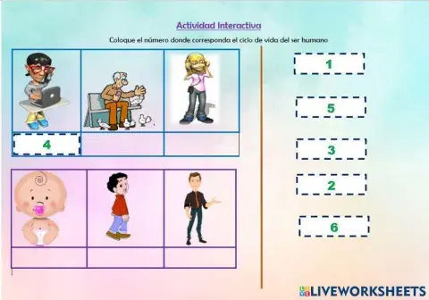 Etapas de vida del ser humano