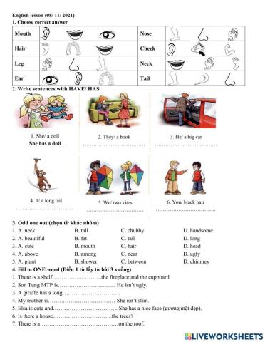 Group 3 Body parts + have-has