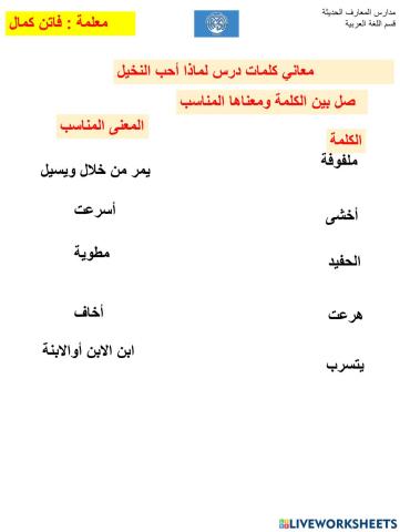 معاني كلمات لماذا أحب النخيل