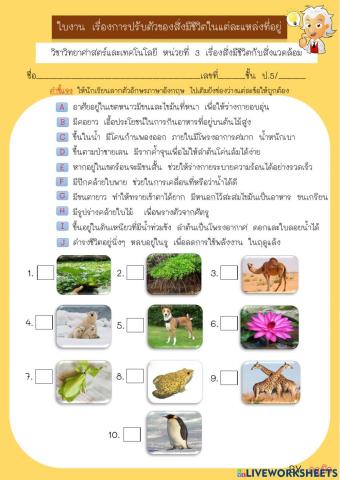 ใบงานการปรับตัวของสิ่งมีชีวิตในแหล่งที่อยู่อาศัย