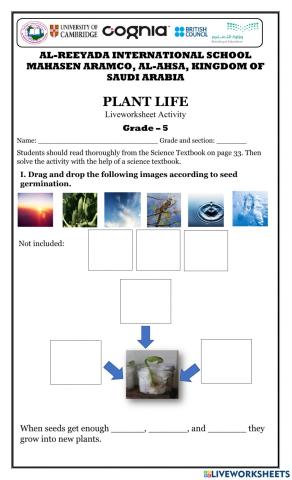 Plant life -