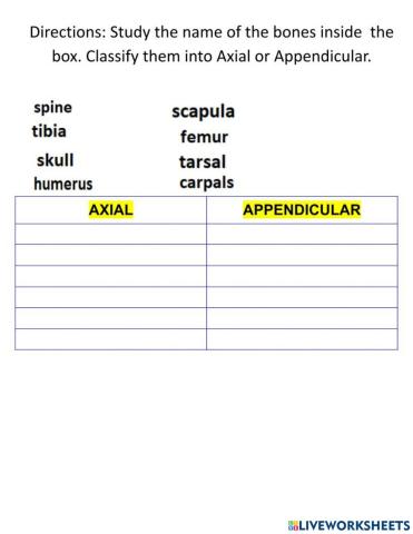 Axial & Appendicular Skeleton