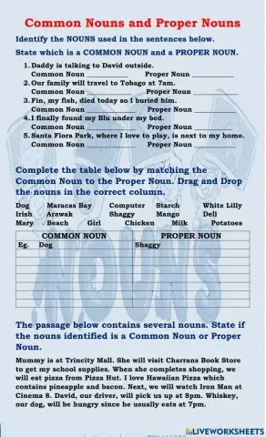 Common Nouns and Proper Nouns