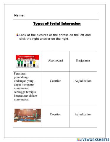 Kinds of Social Interaction