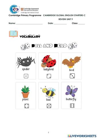 CGES C-Review Unit 9