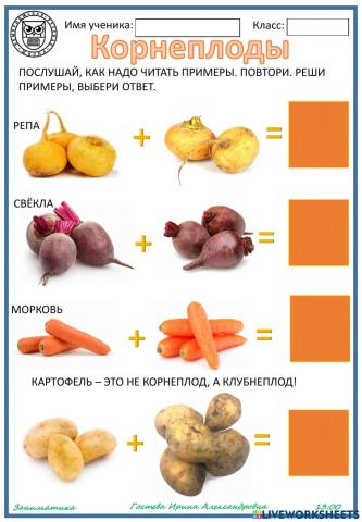 Собираем урожай корнеплодов