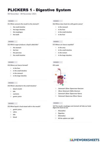 Digestive system Plickers