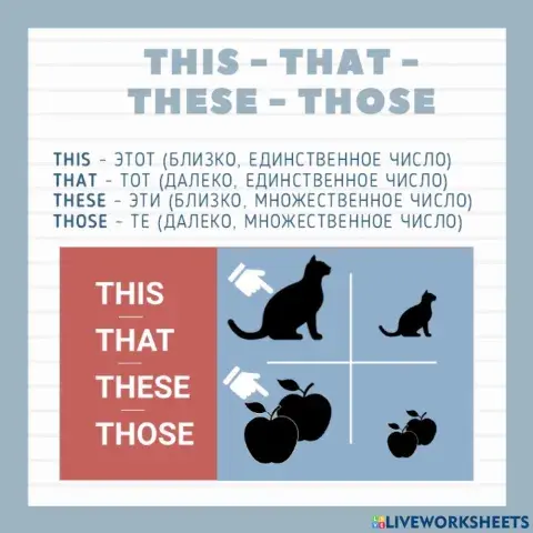 Demonstrative pronouns