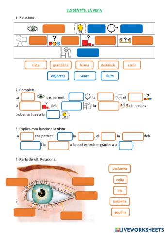 Els sentits. La vista