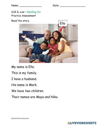 Read About Family - Practice Assessment