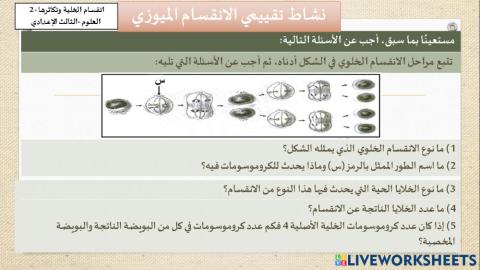الانقسام الميوزي