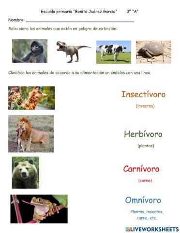 Clasificacion de los animales