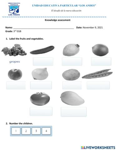 Knowledge assessment