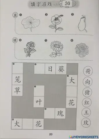 各种各样的花