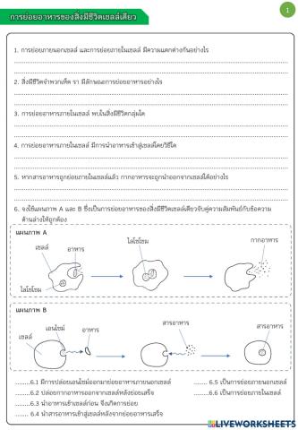 แบบฝึก ระบบย่อยอาหารของสัตว์