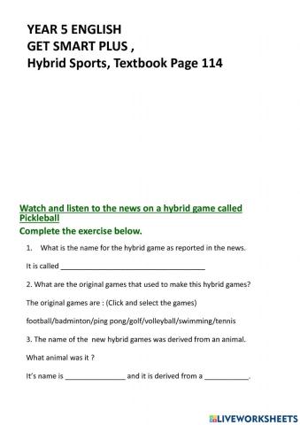 Hybrid sports Pickleball