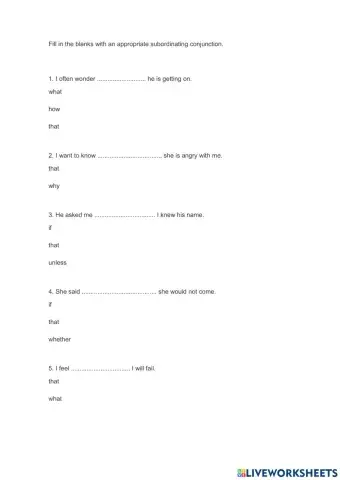 Exercises Noun Clauses 3